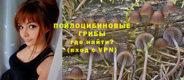 MESCALINE Верхний Тагил