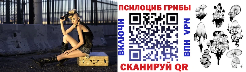 наркота  МЕГА как войти  Галлюциногенные грибы Cubensis  Торжок 